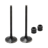 Intake Exhaust Valves / Seals Kit For Suzuki DR350 / AN400 / LT-A 400 450 500 / LT-F 400 500