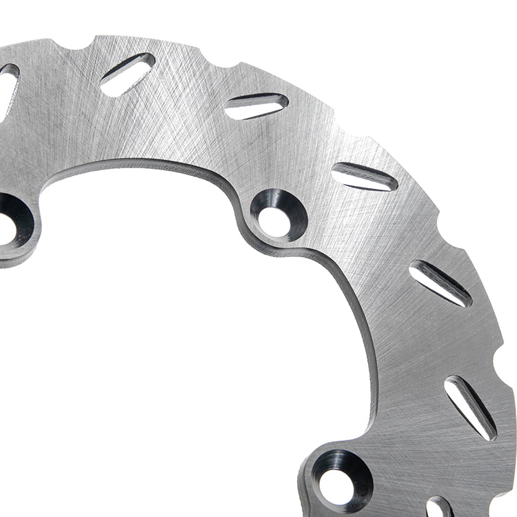 Rear Brake Disc for Can-Am Renegade 800R 2009-2011/Renegade 800 2007-2008/Renegade 500 2007-2015