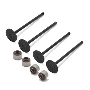 Exhaust Valves Seals Kit for Kawasaki TERYX 2014-2023 12005-0047