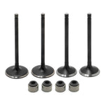 Intake Exhaust Valves / Seals Kit For Yamaha Raptor 700 / Rhino 700 / Viking 700 / Kodiak 700 / Grizzly 700