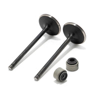 Intake Exhaust Valves / Seals Kit For Yamaha Raptor 700 / Rhino 700 / Viking 700 / Kodiak 700 / Grizzly 700