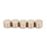 5pcs Wet Clutch Slug Kit for Yamaha Rhino 450 Grizzly 400 450 Kodiak 400 450 Wolverine 450