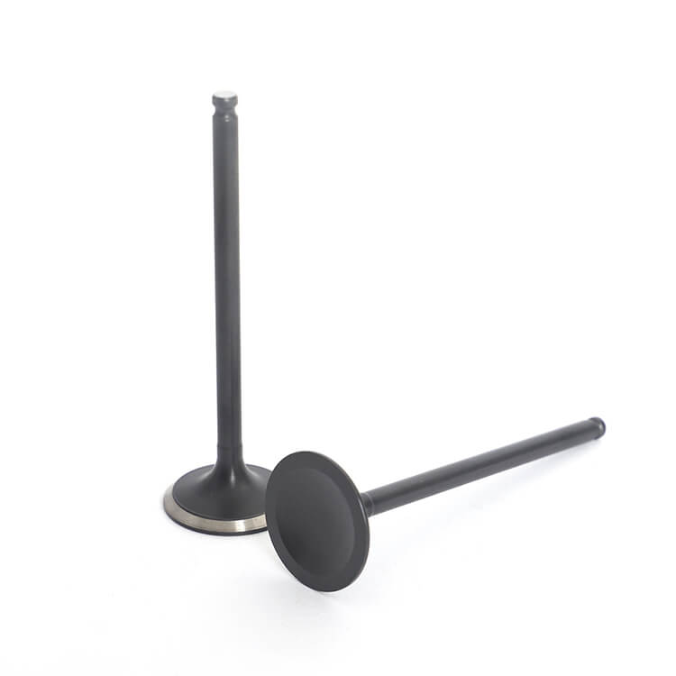 Intake Exhaust Valves for Yamaha YZ250F 2001-2013 / WR250F 2001-2013