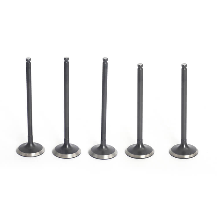 Intake Exhaust Valves for Yamaha YZ250F 2001-2013 / WR250F 2001-2013