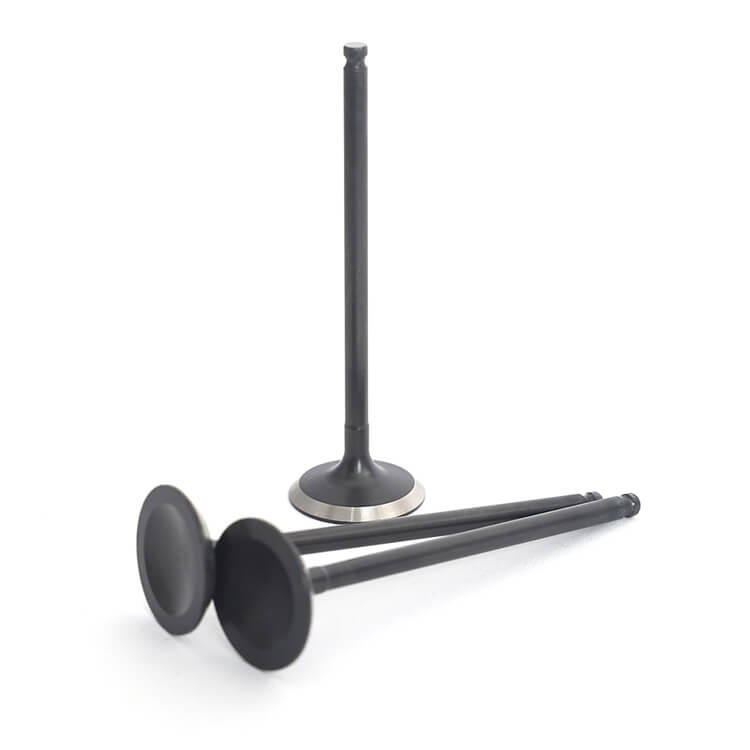 Intake Exhaust Valves for Yamaha YZ250F 2001-2013 / WR250F 2001-2013